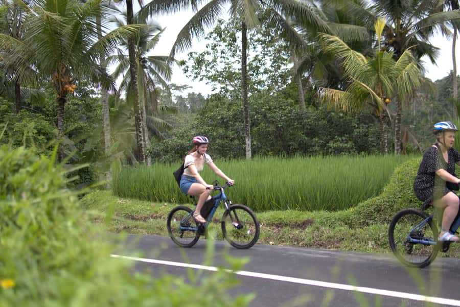 Ubud: E-Bike Tour with Rice Terrace and Village Visit - The Cekingan Rice Terrace and Subak Irrigation