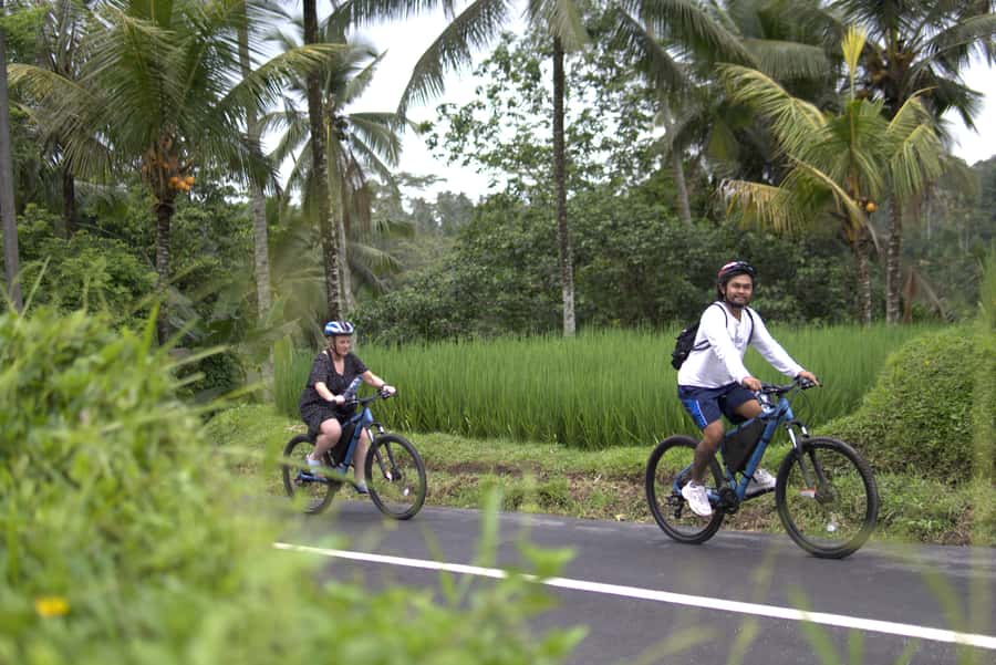 Ubud: E-Bike Tour with Rice Terrace and Village Visit - Temples, Burial Sites, and the Roadside Details