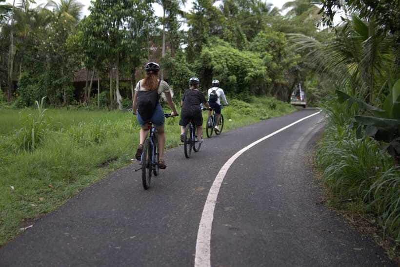 Ubud: E-Bike Tour with Rice Terrace and Village Visit - Lunch Above the Tegallalang Rice Terrace