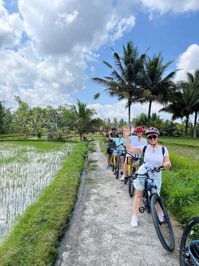 Ubud: E-Bike Tour with Rice Terrace and Village Visit - What the E-Bikes Are Really Like