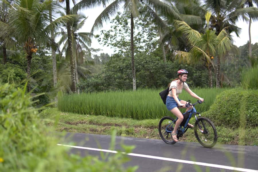 Ubud: E-Bike Tour with Rice Terrace and Village Visit - Who Should Book This Ride?