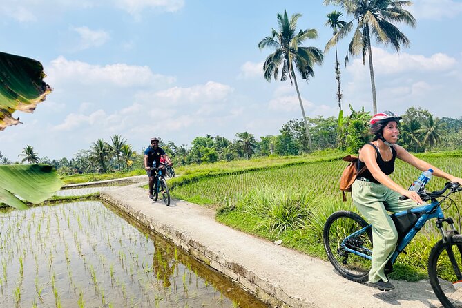 Ubud eBikes Tour to Tegallalang Rice Terrace - Temples, plantations, and everyday village life