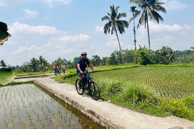 Ubud eBikes Tour to Tegallalang Rice Terrace - What the guides add to the day