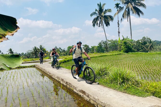 Ubud eBikes Tour to Tegallalang Rice Terrace - What is included for $30.55?