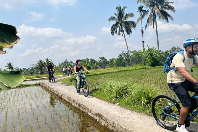 Ubud eBikes Tour to Tegallalang Rice Terrace - Timing, group size, and practical planning