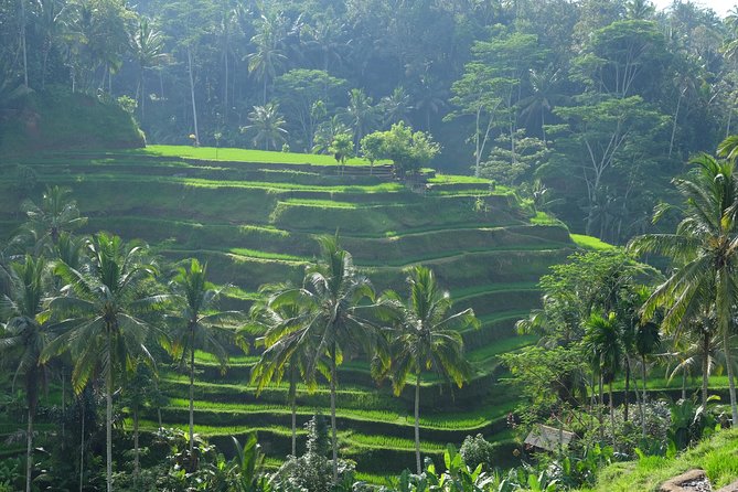 Ubud Experience ; Swing, Waterfalls, Art Market, Rice Terrace - The long ride from Kuta to Ubud