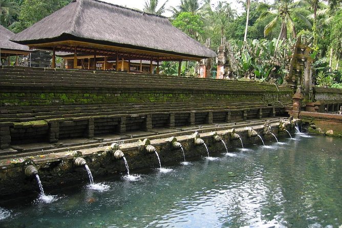 Ubud Experience ; Swing, Waterfalls, Art Market, Rice Terrace - Kumulilir and the valley swing