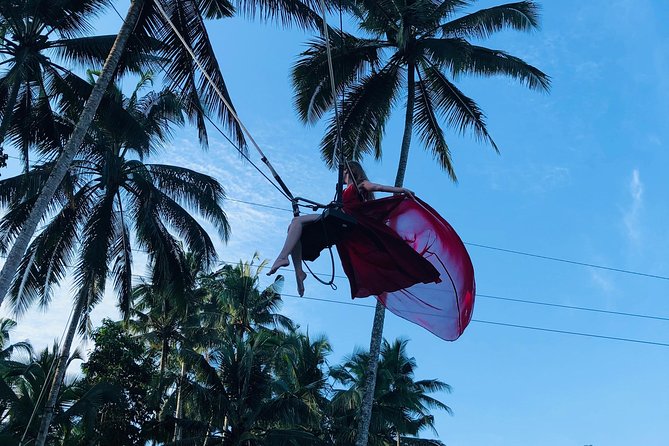 Ubud Experience ; Swing, Waterfalls, Art Market, Rice Terrace - Ubud Palace in a 30-minute visit