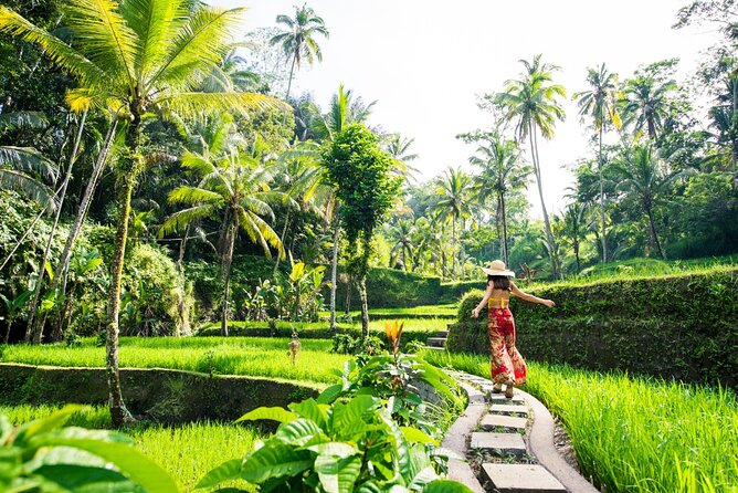 Ubud Full Day ATV Adventure with Rice Terrace and Temple Ritual - An ATV morning through Ubud’s rice fields