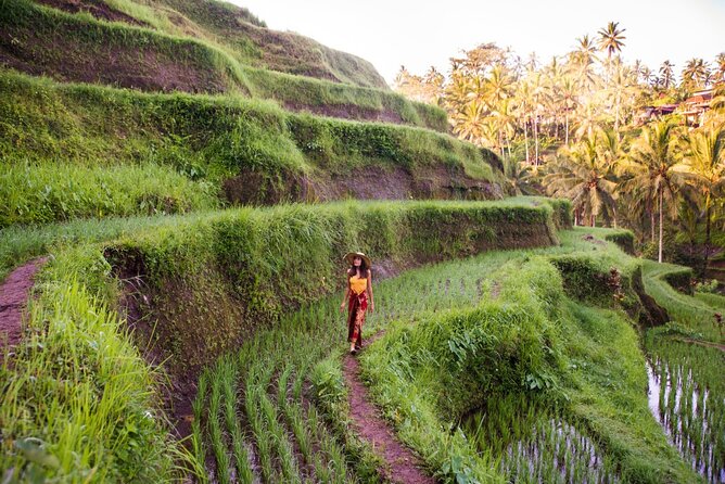Ubud Full Day ATV Adventure with Rice Terrace and Temple Ritual - What the $85 price covers