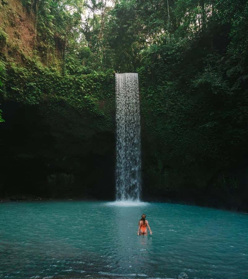 Ubud: Full-Day Rice Terrace, Monkey Forest & Waterfall - Key Points