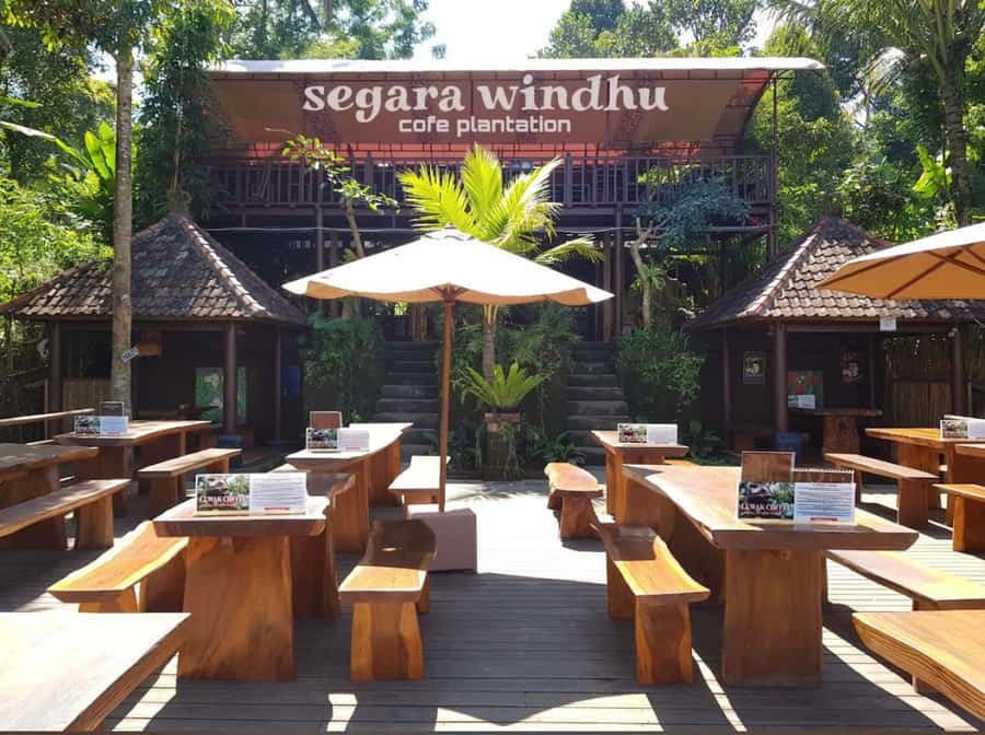 Ubud: Full-Day Rice Terrace, Monkey Forest & Waterfall - Understanding Tirta Empul’s Holy Spring
