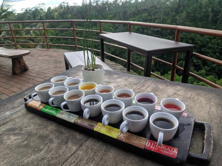 Ubud: Full-Day Rice Terrace, Monkey Forest & Waterfall - Coffee, Tea, and the Plantation Stop