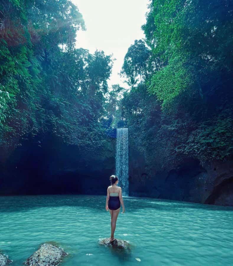 Ubud: Full-Day Rice Terrace, Monkey Forest & Waterfall - Is Nine Hours Too Much?