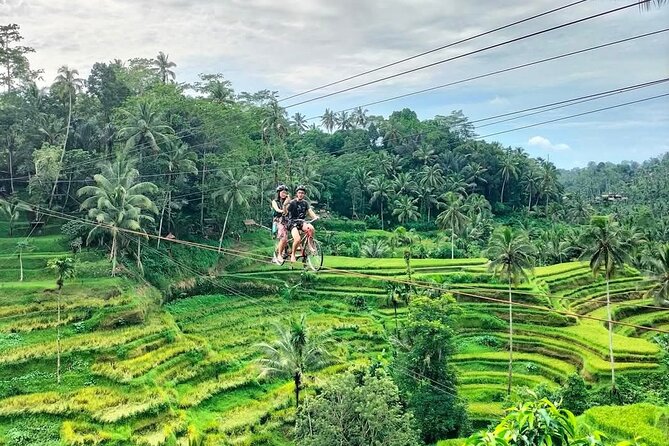 Ubud Half Day Skybike and Zipline Rice Terrace Tour - Coffee and tea tasting near Tampaksiring