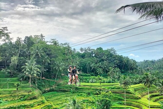 Ubud Half Day Skybike and Zipline Rice Terrace Tour - What the private format changes
