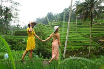 Ubud Hidden Gems Waterfall, Temple and Rice Terraces Private Tour