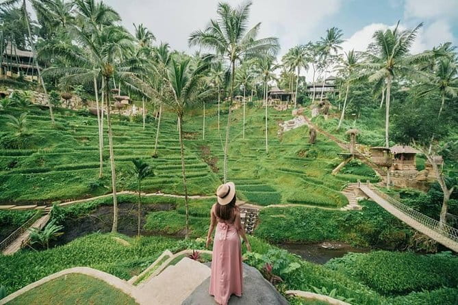 Ubud Hidden Gems Waterfall, Temple and Rice Terraces Private Tour - What the private guide adds