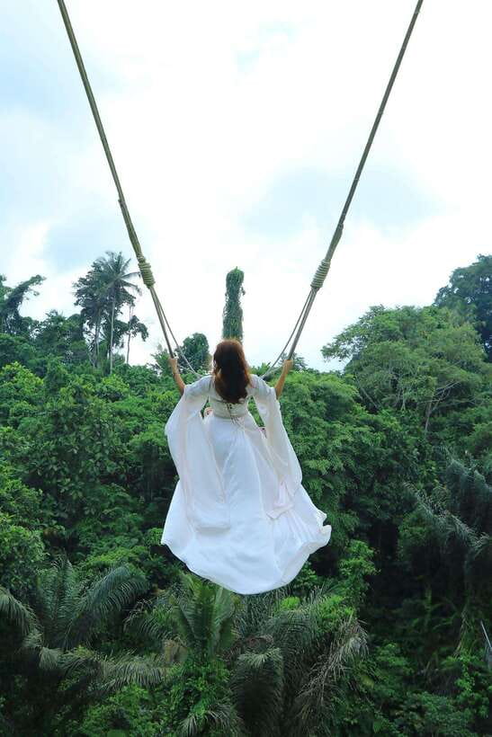 Ubud: Hidden Waterfall, Monkey Forest, Rice Terrace & Swing - A full day built around Ubud’s natural sights