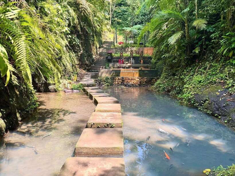 Ubud: Hidden Waterfall, Monkey Forest, Rice Terrace & Swing - What the private format adds