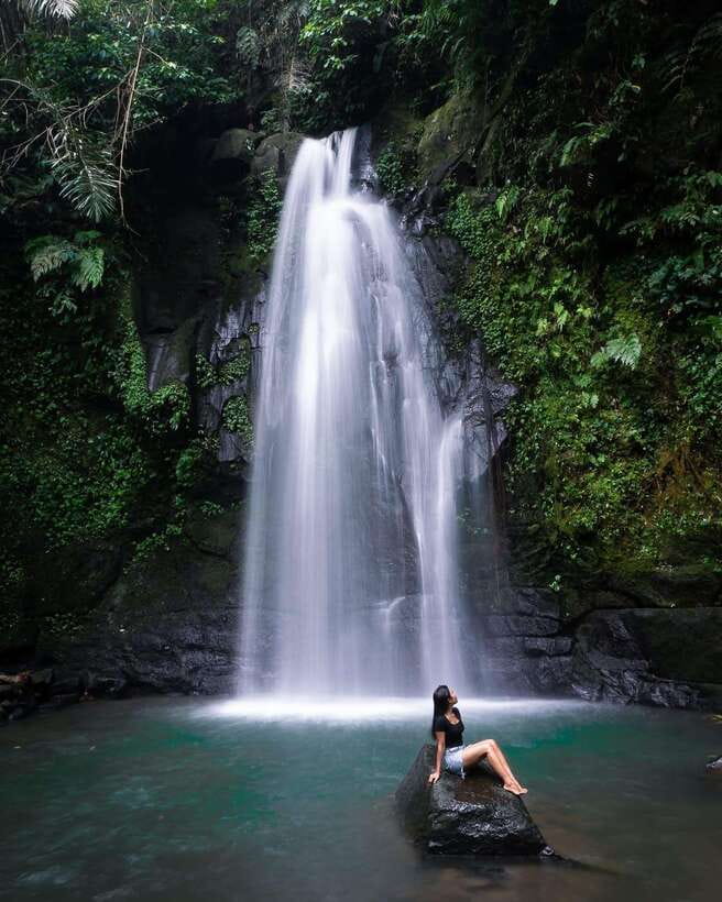 Ubud: Hidden Waterfall, Monkey Forest, Rice Terrace & Swing - Is $45 per person good value?