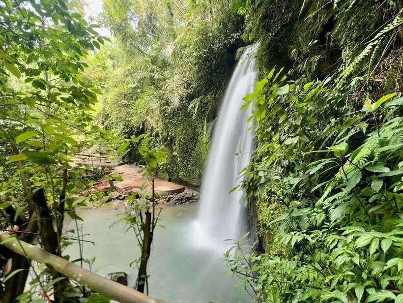 Ubud: Hidden Waterfall, Monkey Forest, Rice Terrace & Swing - Who should book this Ubud tour?