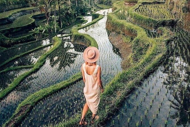 Ubud Highlights -Private Tour,Temples, Waterfalls & Rice terraces - Tegallalang shows Bali’s working rice country