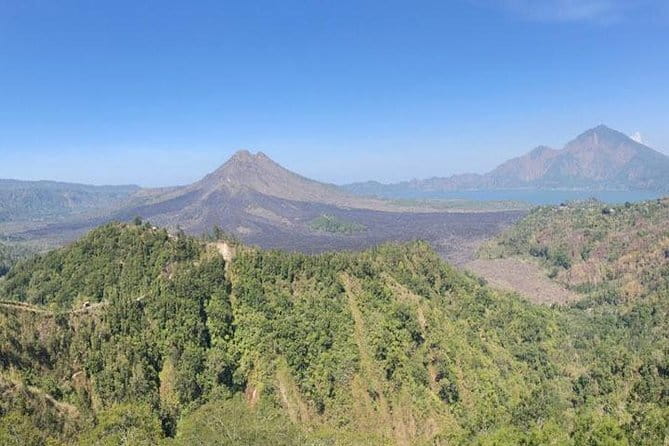 Ubud: Holy Water Temple, Volcano View, Rice Terrace, MonkeyForest - A full day of central Bali in one private car