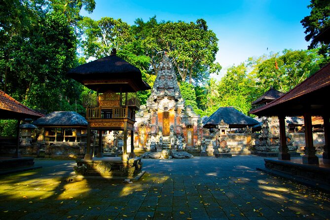 Ubud Iconic Full Day Tour Monkey Forest Rice Terraces Waterfalls - What the private vehicle changes