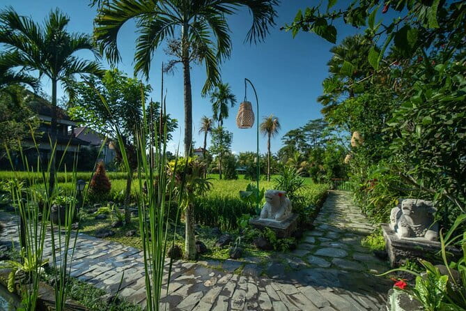Ubud Luxury Bali Spa Package with amidst rice fields - Walking through the rice paddies to Bliss Ubud Spa Resort