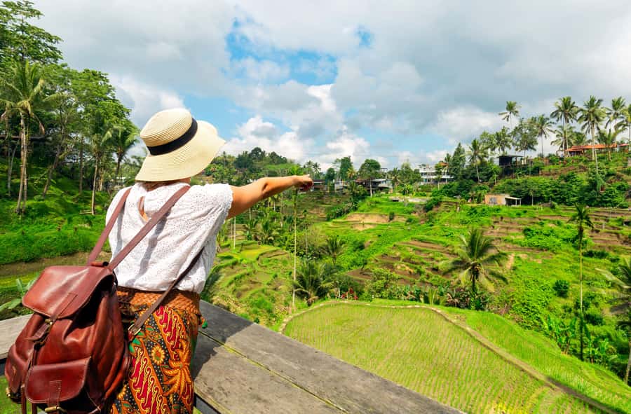 Ubud: Monkey Forest and Rice Terrace Private Tour - Transport, timing, and the Tanah Lot question