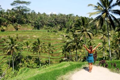Monkey Forest and Rice Terrace Private Tour