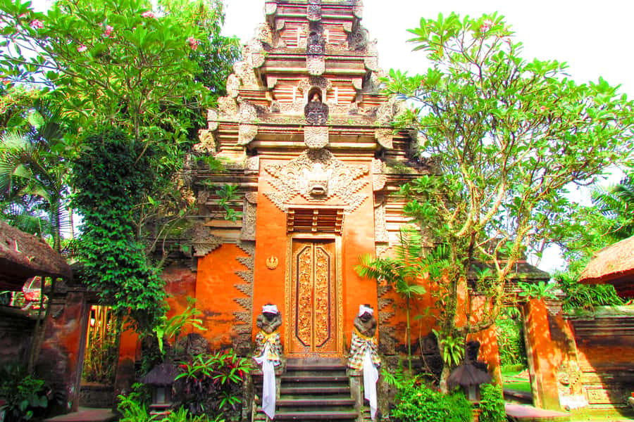 Ubud: Monkey Forest and Rice Terrace Private Tour - The guide can shape the entire day