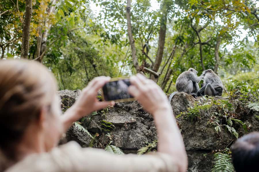 Ubud: Monkey Forest, Ceking Rice Terraces and More– Full Day - Key points to know before booking