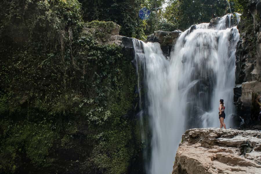 Ubud: Monkey Forest, Ceking Rice Terraces and More– Full Day - Monkey Forest brings you close to Ubud’s wildlife