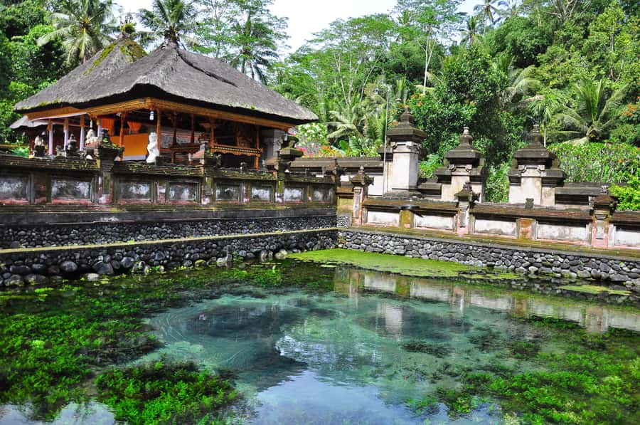 Ubud: Monkey Forest, Ceking Rice Terraces and More– Full Day - Price, entrance fees, and the real value