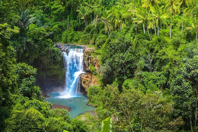 Ubud: Monkey Forest, Jungle Swing, Rice Terrace, and Water Temple - Happy Swing Bali: big views, added cost questions