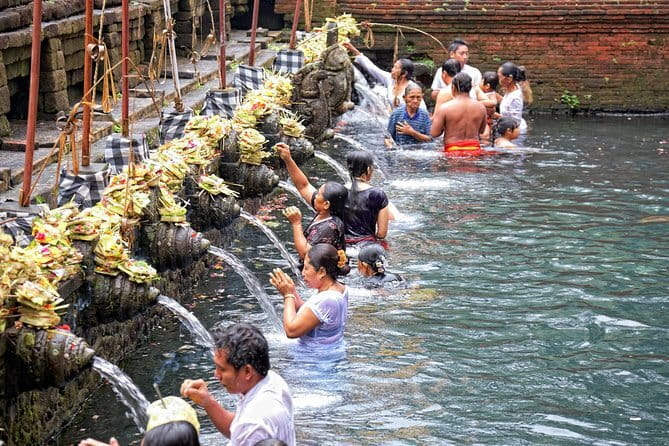 Ubud Monkey Forest Rice Terrace Temple Waterfall Private Tour - What the Private Guide Adds
