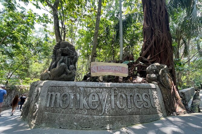 Ubud Monkey Forest Rice Terrace Temple Waterfall Private Tour - Transport, Timing, and Who Gets the Best Value