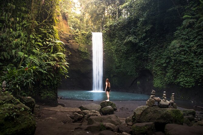 Ubud : Monkey Forest, Rice Terrace, Waterfall, Swing - Key points to know before booking