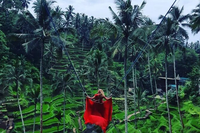 Ubud : Monkey Forest, Rice Terrace, Waterfall, Swing - A full day of Ubud nature, not an Ubud town walk