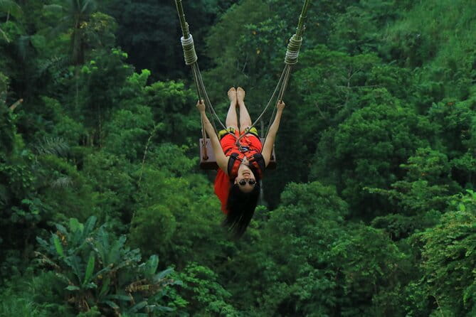Ubud: Monkey Forest, Rice Terraces and Jungle Swing Tour - The Sacred Monkey Forest: A Lush Opening Stop