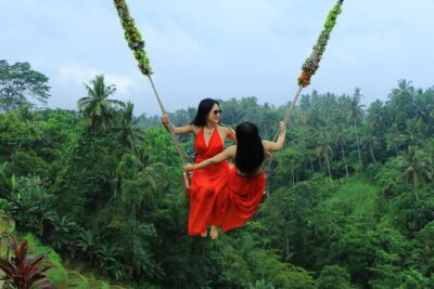 Monkey Forest, Rice Terraces and Jungle Swing Tour