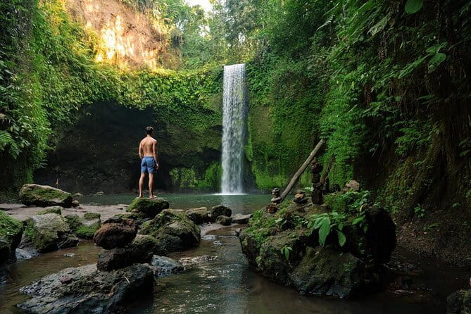 Ubud: Monkey Forest, Rice Terraces and Jungle Swing Tour - Why the Private Driver Matters