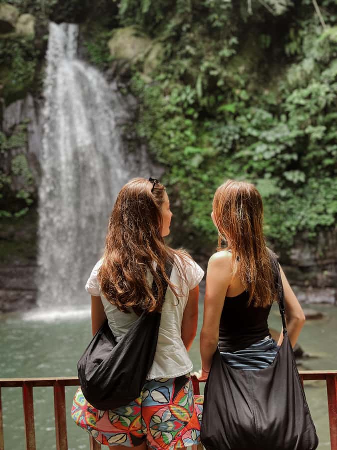 Ubud:Monkey Forest, Rice Terraces, Water Temples, Waterfalls - Timing, traffic, and pickup areas