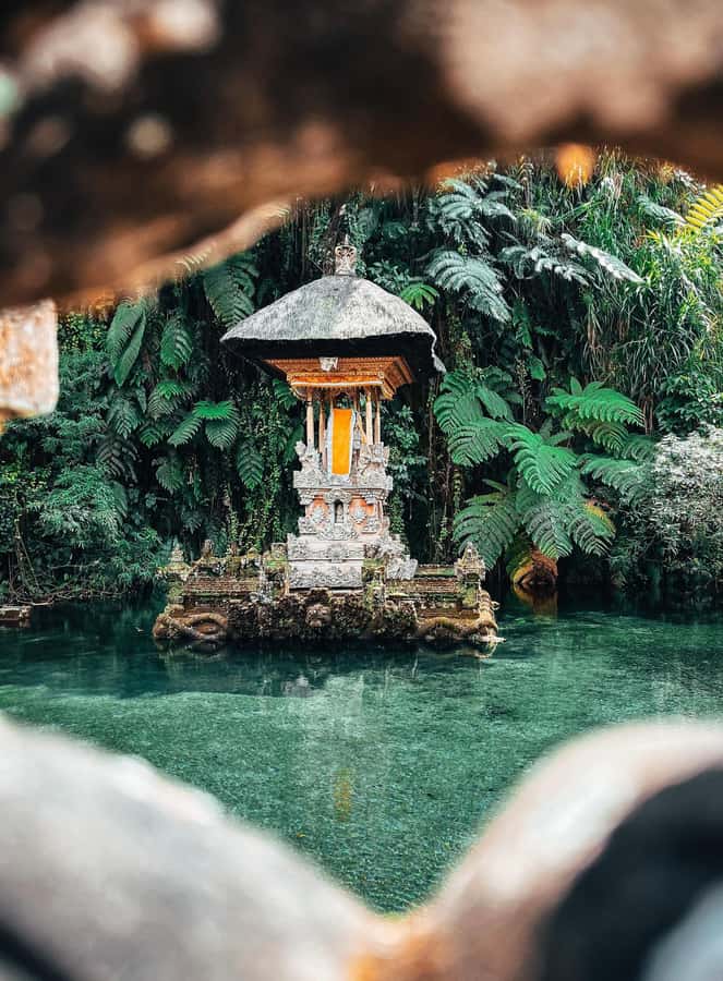 Ubud:Monkey Forest, Rice Terraces, Water Temples, Waterfalls - A practical route through Ubud’s countryside