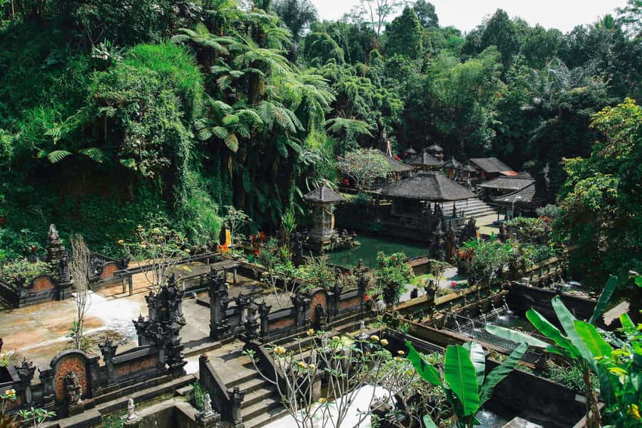 Ubud:Monkey Forest, Rice Terraces, Water Temples, Waterfalls - Ulu Petanu Waterfall: a cool finish to the day