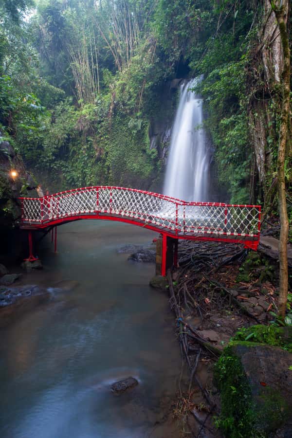Ubud:Monkey Forest, Rice Terraces, Water Temples, Waterfalls - Sacred Monkey Forest: lively macaques in a temple setting