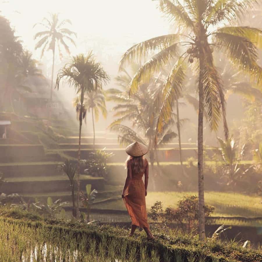 Ubud Monkey Forest, Temple, Rice Terrace and Waterfall Tour - Key points to know before booking