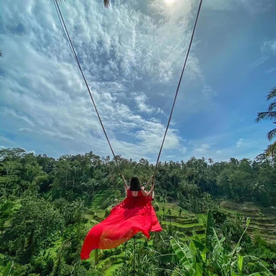 Ubud Monkey Forest, Temple, Rice Terrace and Waterfall Tour - Why this Ubud tour works as a one-day plan